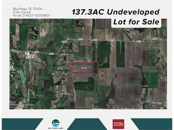 TBD 137.3AC County Road 832, Blue Ridge, TX 75424