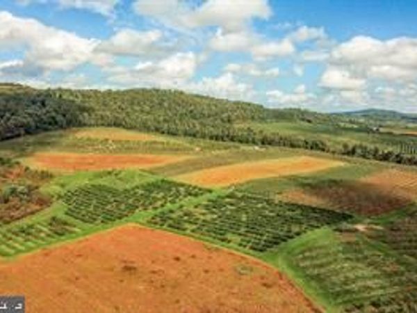 PARCEL 1, BENDERSVILLE, PA 17306