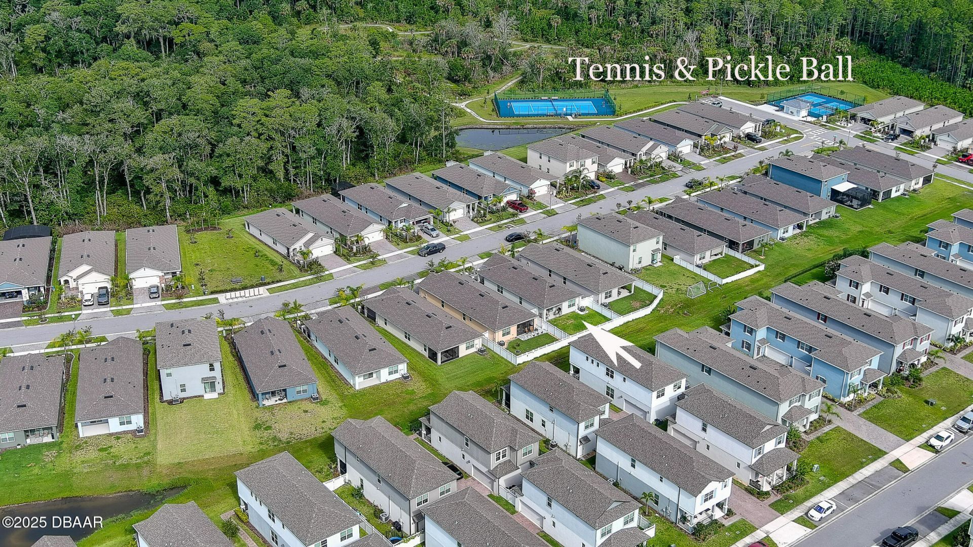349 Caryota Court, New Smyrna Beach, FL 32168 Photo