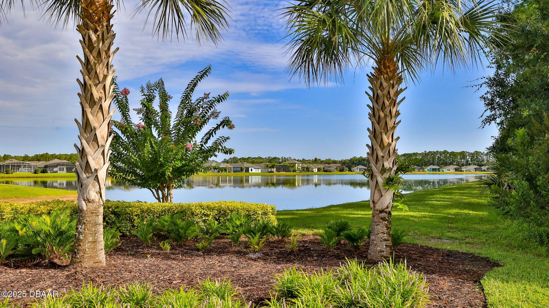 349 Caryota Court, New Smyrna Beach, FL 32168 Photo