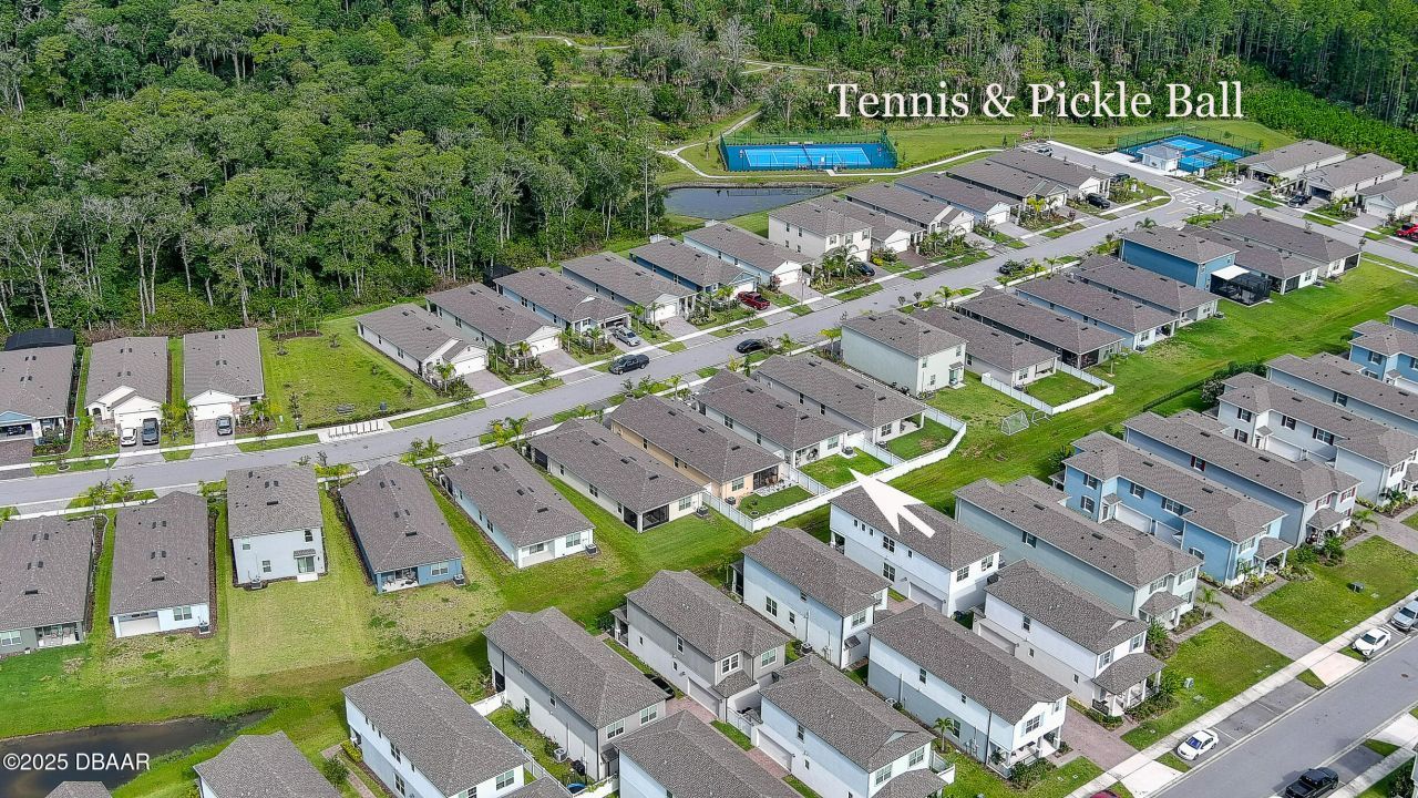 349 Caryota Court, New Smyrna Beach, FL 32168 Photo