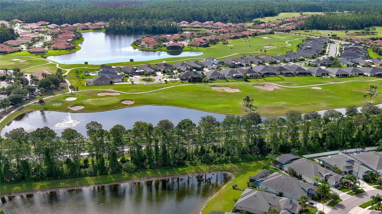 349 Caryota Court, New Smyrna Beach, FL 32168 Photo