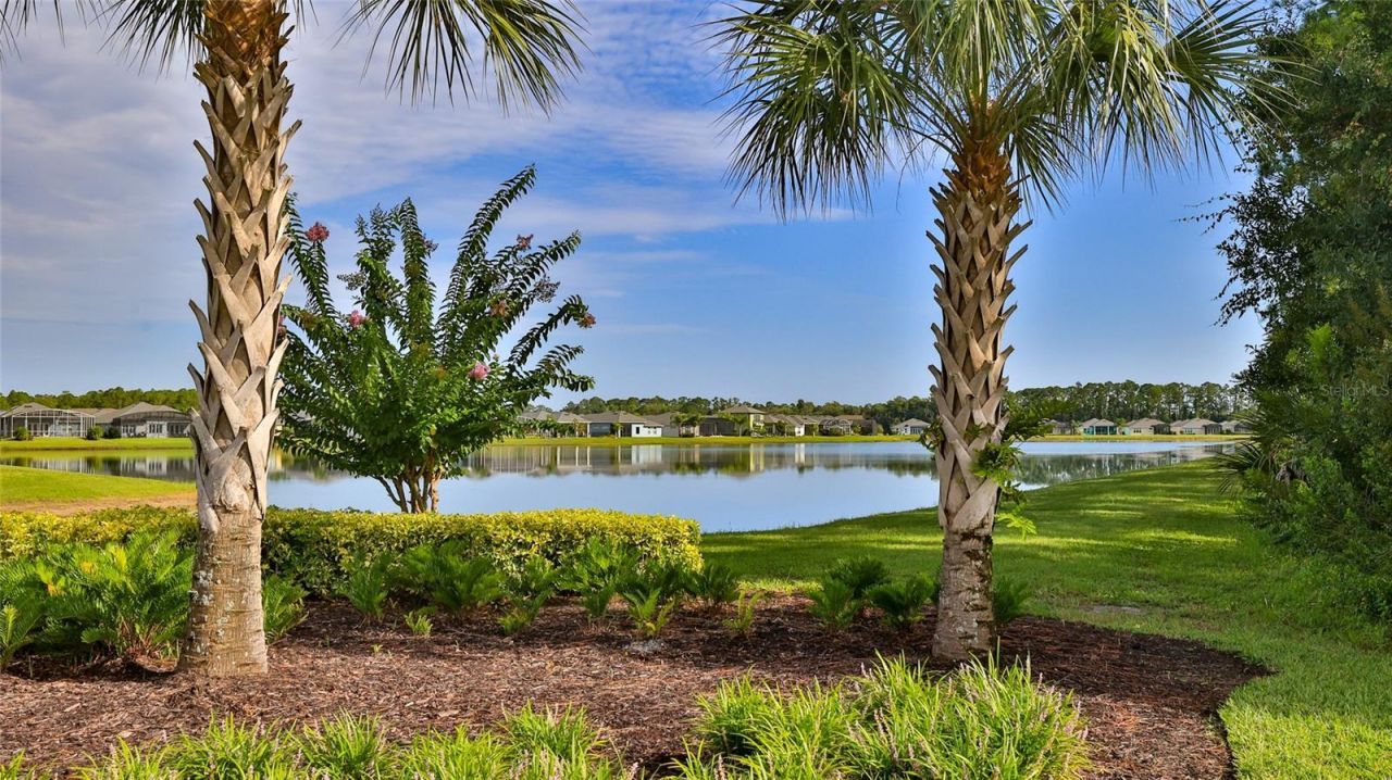 349 Caryota Court, New Smyrna Beach, FL 32168 Photo