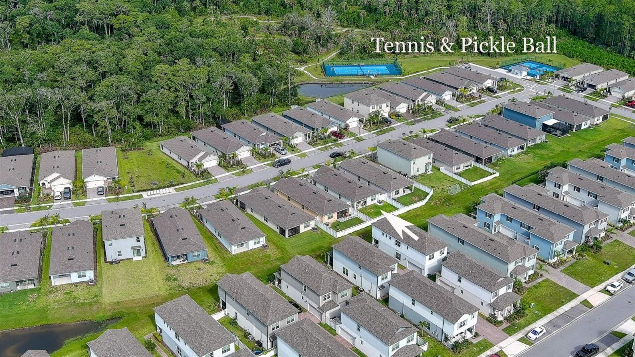 349 Caryota Court, New Smyrna Beach, FL 32168 Photo