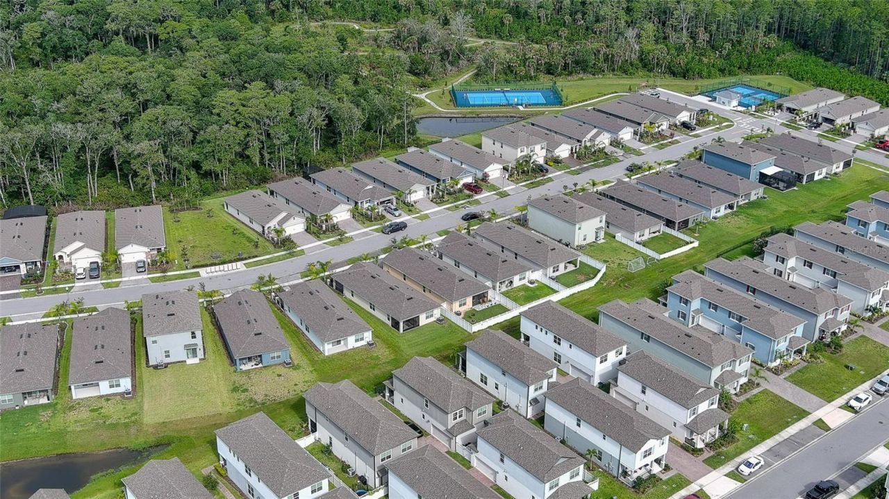 349 Caryota Court, New Smyrna Beach, FL 32168 Photo