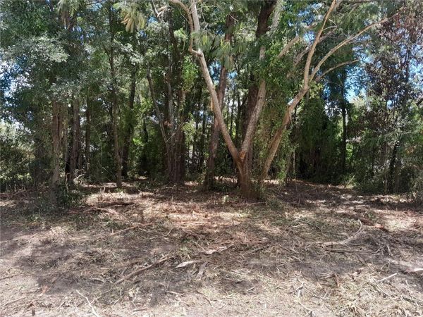 tbd NE 48TH STREET, WILLISTON, FL 32696