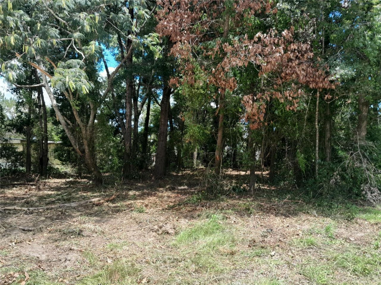 Tbd NE 48th Street, Williston, FL 32696 Photo