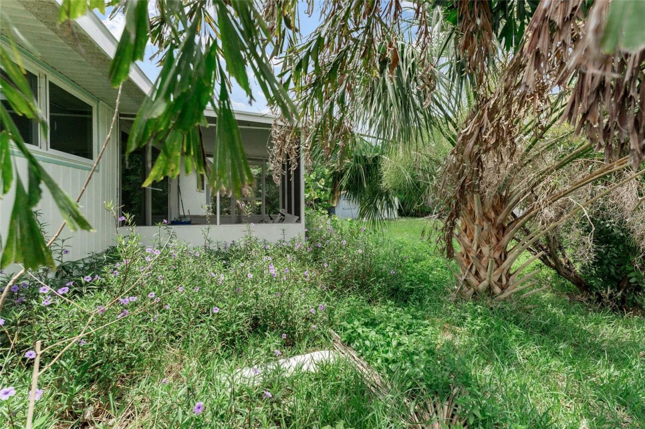 1580 Arizona Ave Ne, Saint Petersburg, FL 33703 Photo