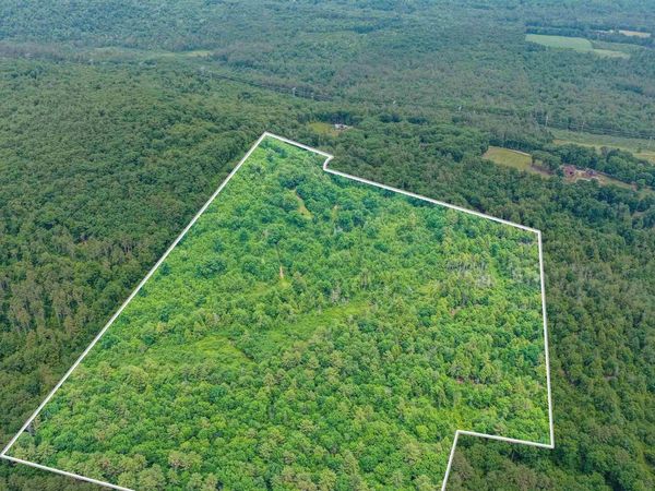 231 Mutton Road, Webster, NH 03303