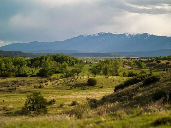 Katahdin, Pueblo, CO 81004