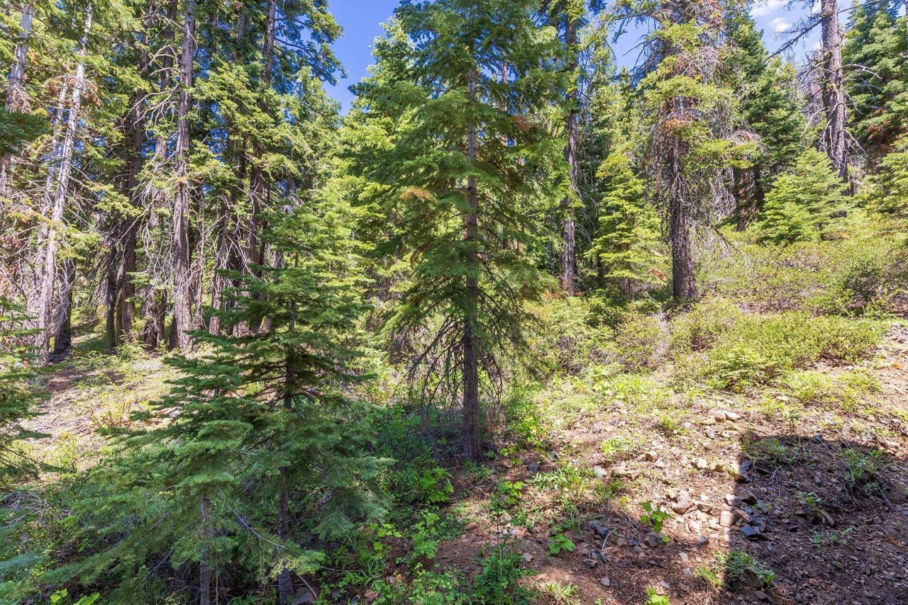 358 Twin Crags Road, Tahoe City, CA 96145 Photo