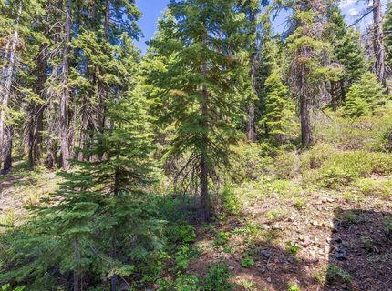358 Twin Crags Road, Tahoe City, CA 96145 Photo