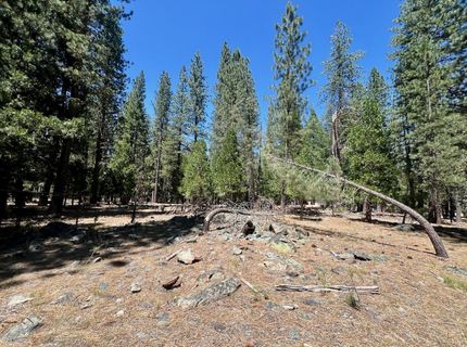 38 Tolowa Trail, Graeagle, CA 96103 Photo