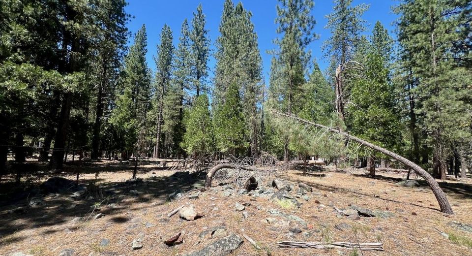 38 Tolowa Trail, Graeagle, CA 96103 Photo