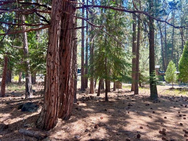 38 Tolowa Trail, Graeagle, CA 96103
