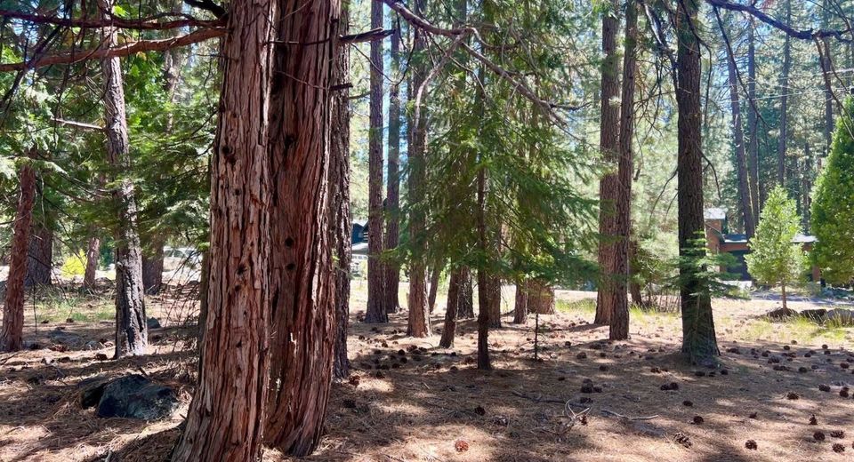 38 Tolowa Trail, Graeagle, CA 96103 Photo