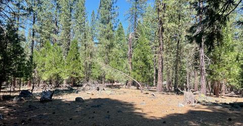 38 Tolowa Trail, Graeagle, CA 96103 Photo