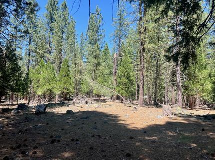 38 Tolowa Trail, Graeagle, CA 96103 Photo