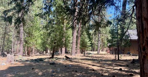 38 Tolowa Trail, Graeagle, CA 96103 Photo