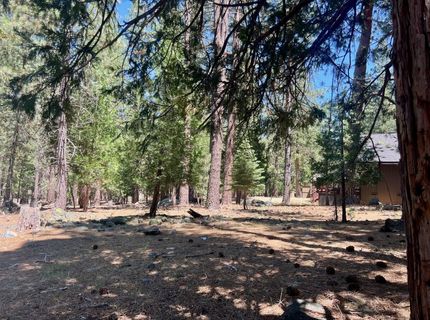 38 Tolowa Trail, Graeagle, CA 96103 Photo