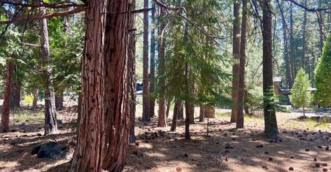 38 Tolowa Trail, Graeagle, CA 96103 Photo