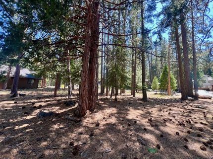 38 Tolowa Trail, Graeagle, CA 96103 Photo