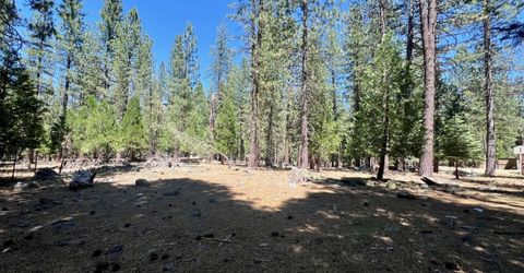 38 Tolowa Trail, Graeagle, CA 96103 Photo