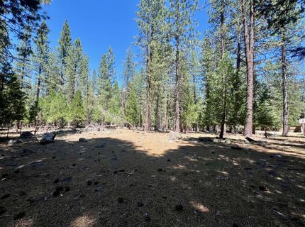 38 Tolowa Trail, Graeagle, CA 96103 Photo