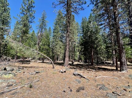 38 Tolowa Trail, Graeagle, CA 96103 Photo