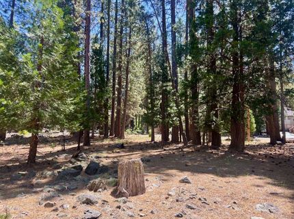38 Tolowa Trail, Graeagle, CA 96103 Photo