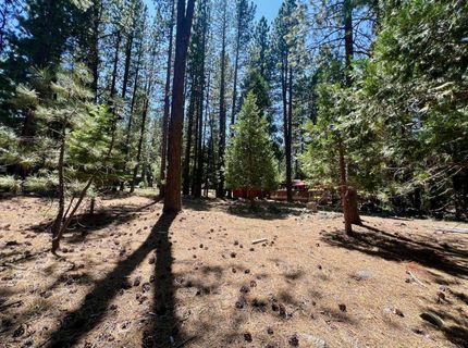 38 Tolowa Trail, Graeagle, CA 96103 Photo