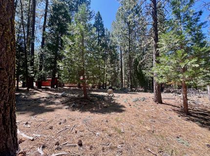 38 Tolowa Trail, Graeagle, CA 96103 Photo