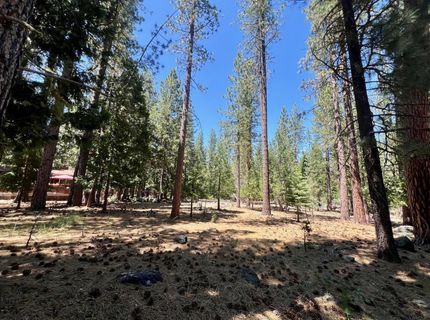 38 Tolowa Trail, Graeagle, CA 96103 Photo