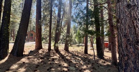 38 Tolowa Trail, Graeagle, CA 96103 Photo