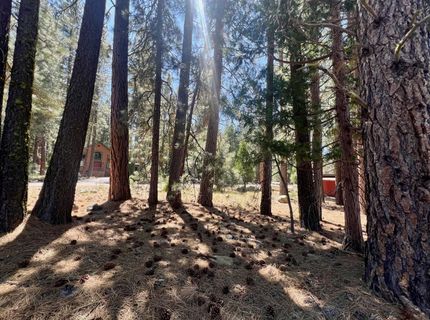 38 Tolowa Trail, Graeagle, CA 96103 Photo