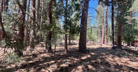 38 Tolowa Trail, Graeagle, CA 96103 Photo