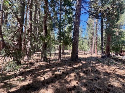 38 Tolowa Trail, Graeagle, CA 96103 Photo