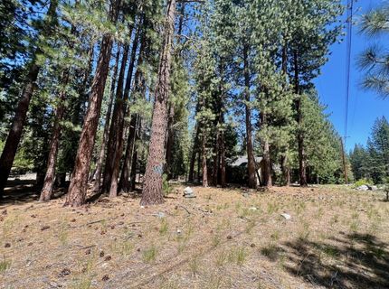 38 Tolowa Trail, Graeagle, CA 96103 Photo