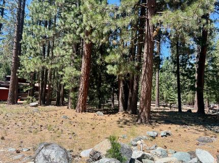 38 Tolowa Trail, Graeagle, CA 96103 Photo