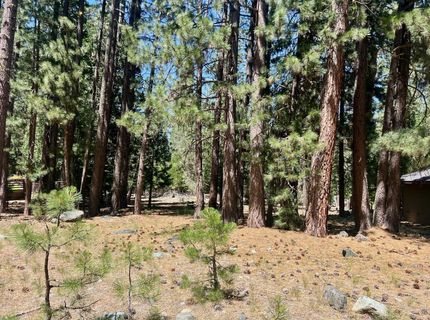 38 Tolowa Trail, Graeagle, CA 96103 Photo