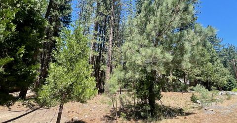 38 Tolowa Trail, Graeagle, CA 96103 Photo