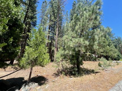 38 Tolowa Trail, Graeagle, CA 96103 Photo