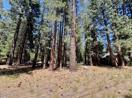 38 Tolowa Trail, Graeagle, CA 96103 Photo