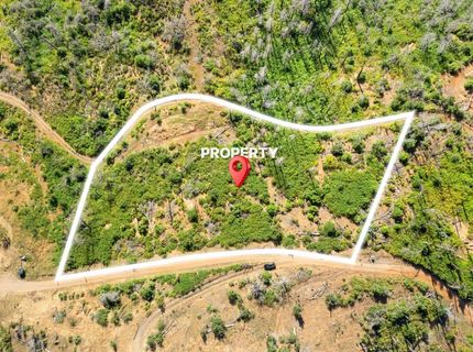 Pine Tree Ln, Berry Creek, CA 95916 Photo