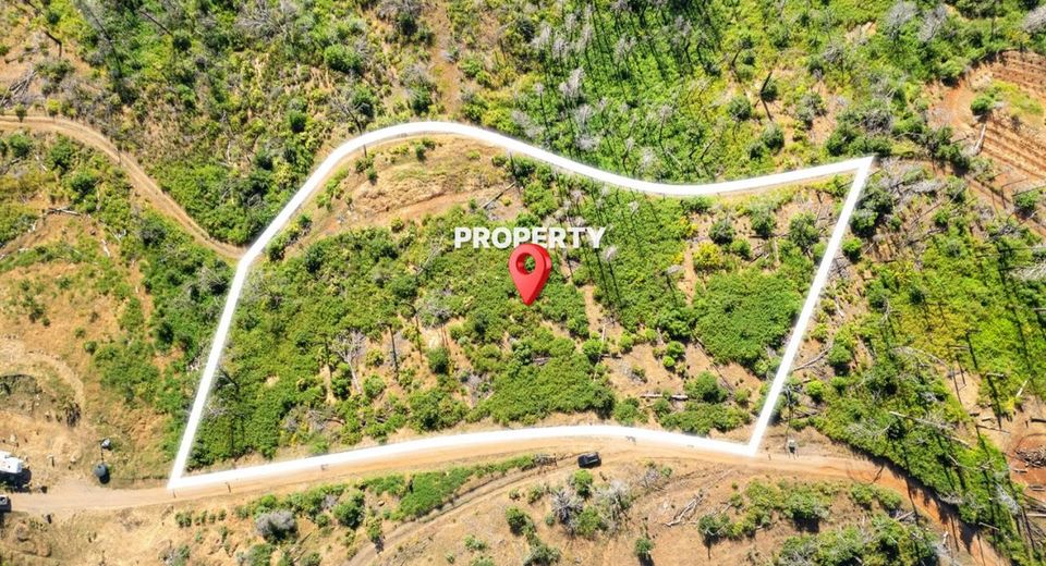 Pine Tree Ln, Berry Creek, CA 95916 Photo