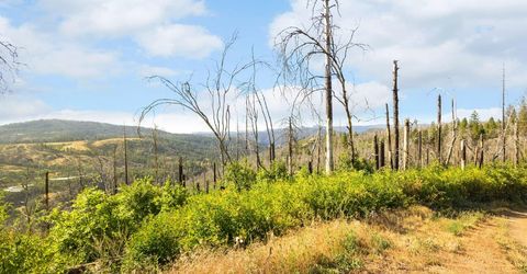 Pine Tree Ln, Berry Creek, CA 95916 Photo