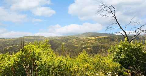 Pine Tree Ln, Berry Creek, CA 95916 Photo