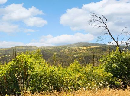 Pine Tree Ln, Berry Creek, CA 95916 Photo