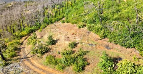 Pine Tree Ln, Berry Creek, CA 95916 Photo