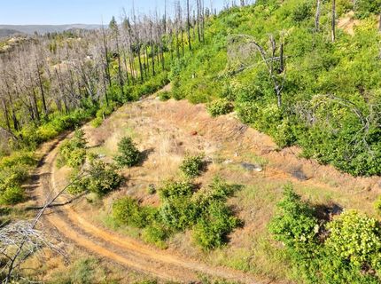 Pine Tree Ln, Berry Creek, CA 95916 Photo